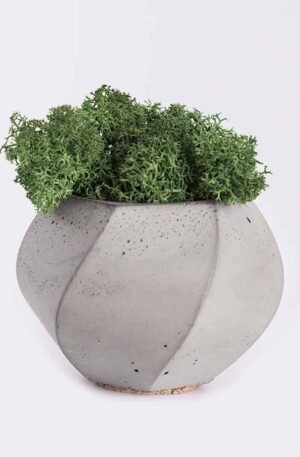 plant4 free img